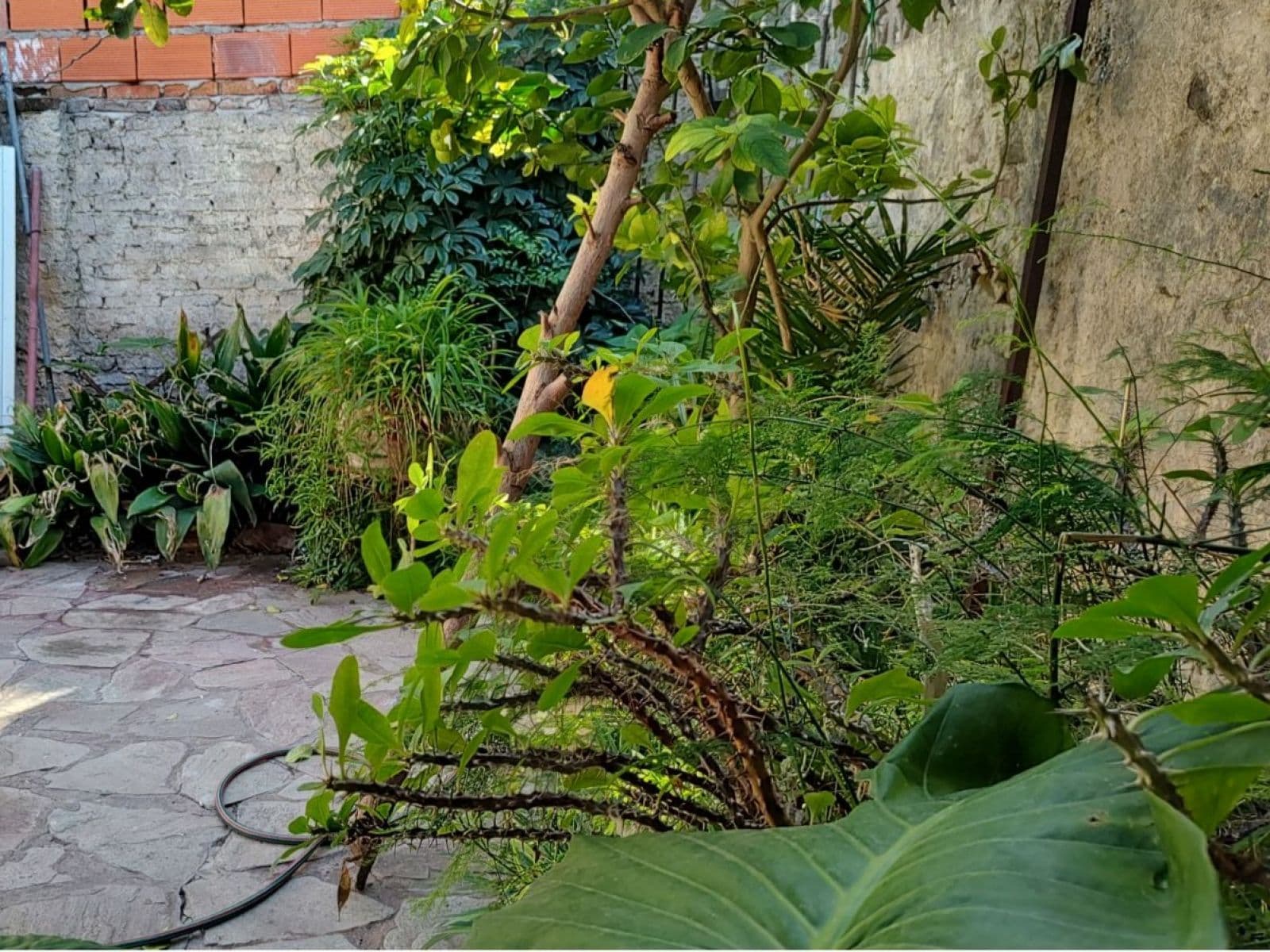 CASA ALMAFUERTE 359 - San Pedro — foto 4