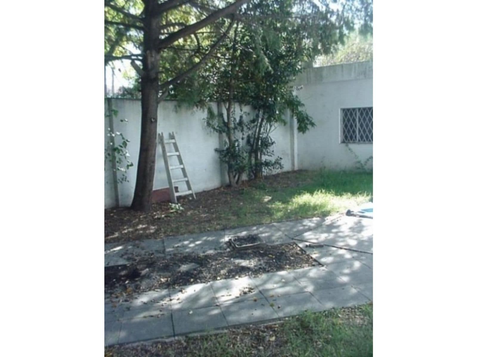 Casa A Refaccionar Con Mucho Potencial, Amplio Jardin! — foto 15