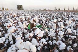 Fazenda 105.000 hectares com área aberta de 33.000 há