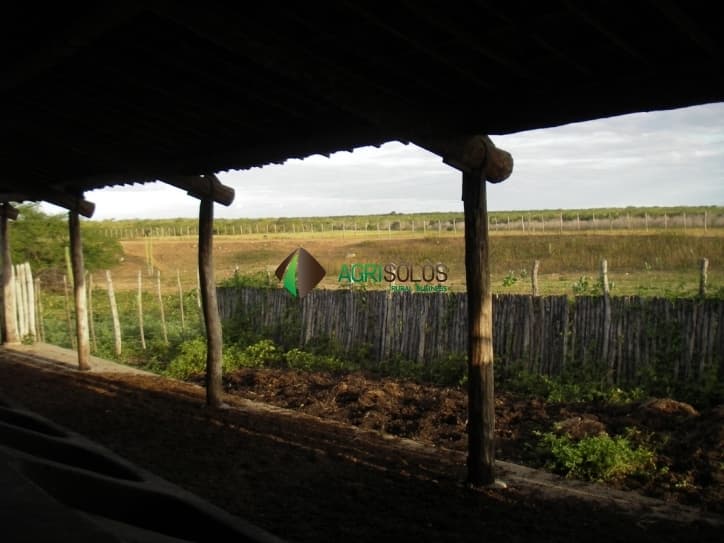 FAZENDA 155 ALQ EM FORTALEZA — foto 7