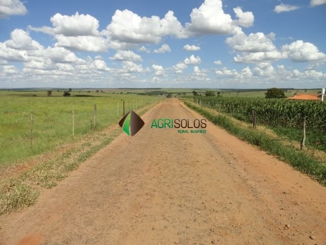 Fazenda 347 Alq - DUPLA APTIDÃO — foto 11