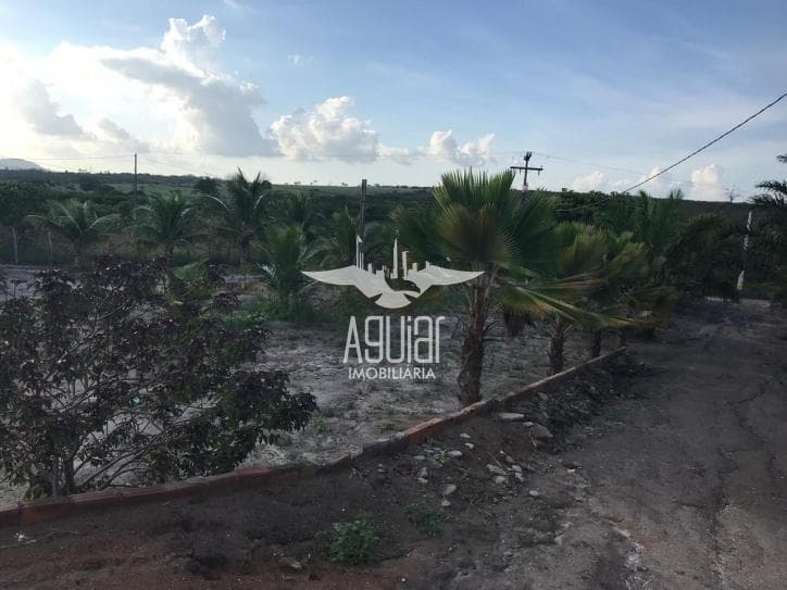 CHÁCARA PARA VENDA PRÓX. AO ESTÁDIO DE SÃO JOSÉ — foto 5