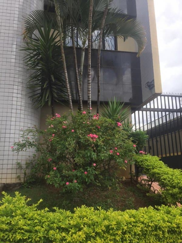 Cobertura - Belo Horizonte, MG no bairro Padre Eustáquio — foto 1