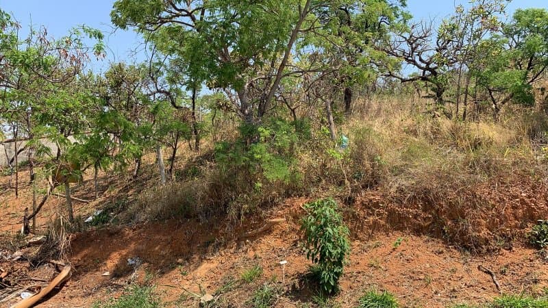 Lote - Lagoa Santa, MG no bairro Lundcea II — foto 5