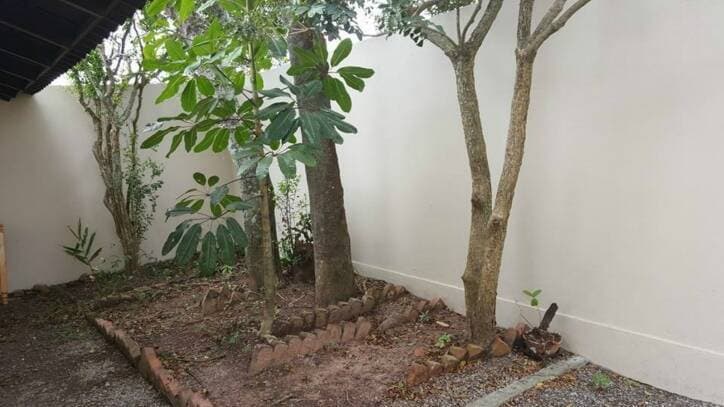 Apartamento em Bombinhas para aluguel temporada no centro — foto 3