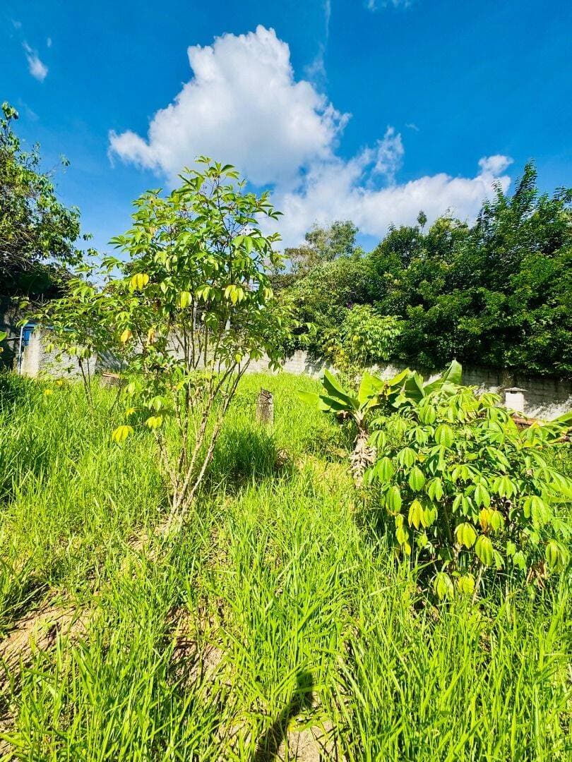 Casa - Jundiaizinho - Mairiporã/SP — foto 8