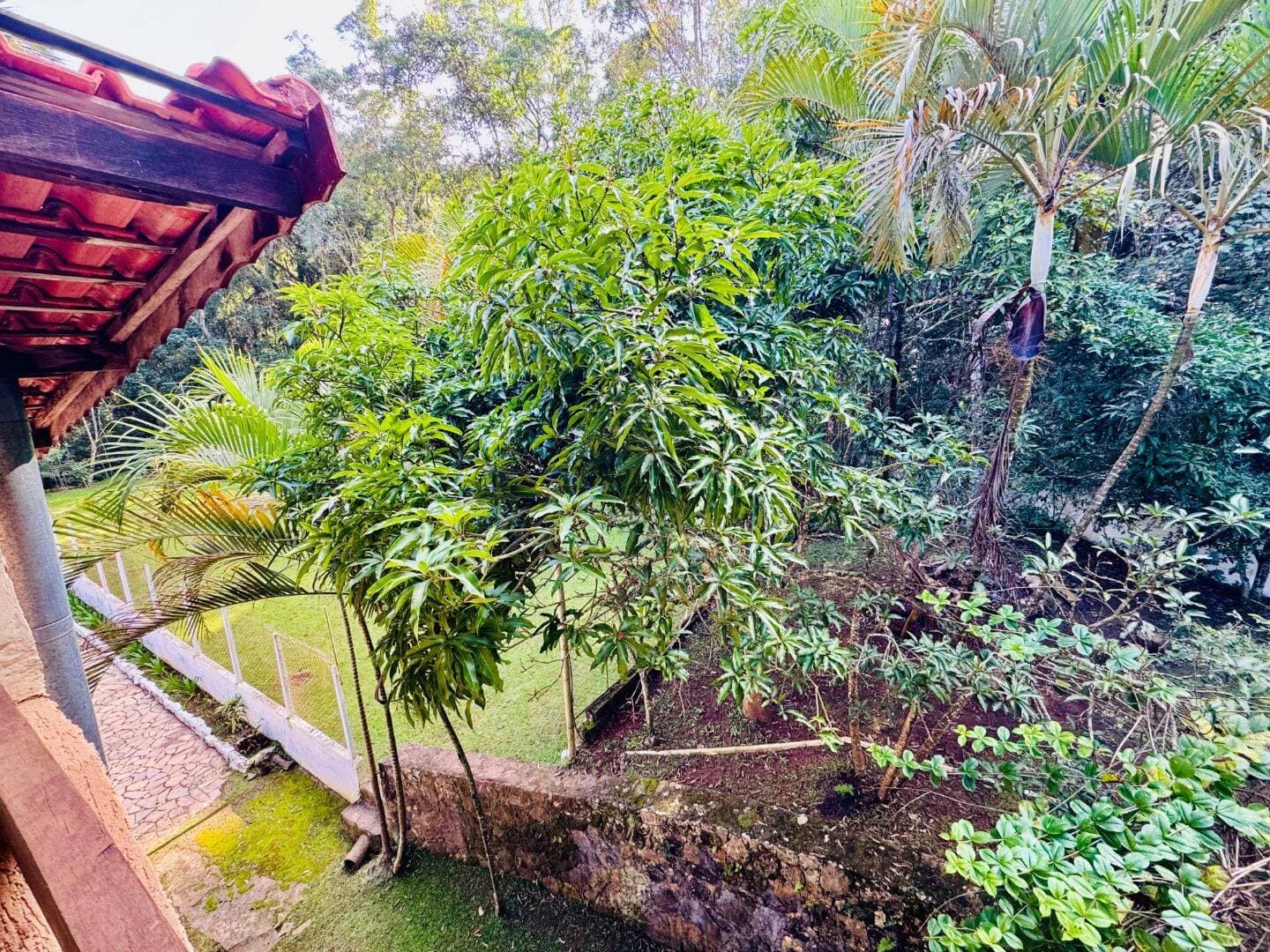 CHÁCARA A VENDA  EM TERRA PRETA — foto 15
