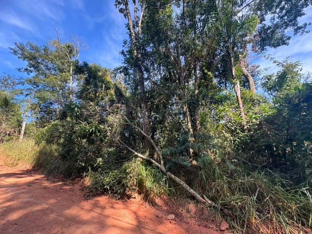 Terreno à venda no Parque Bela vista