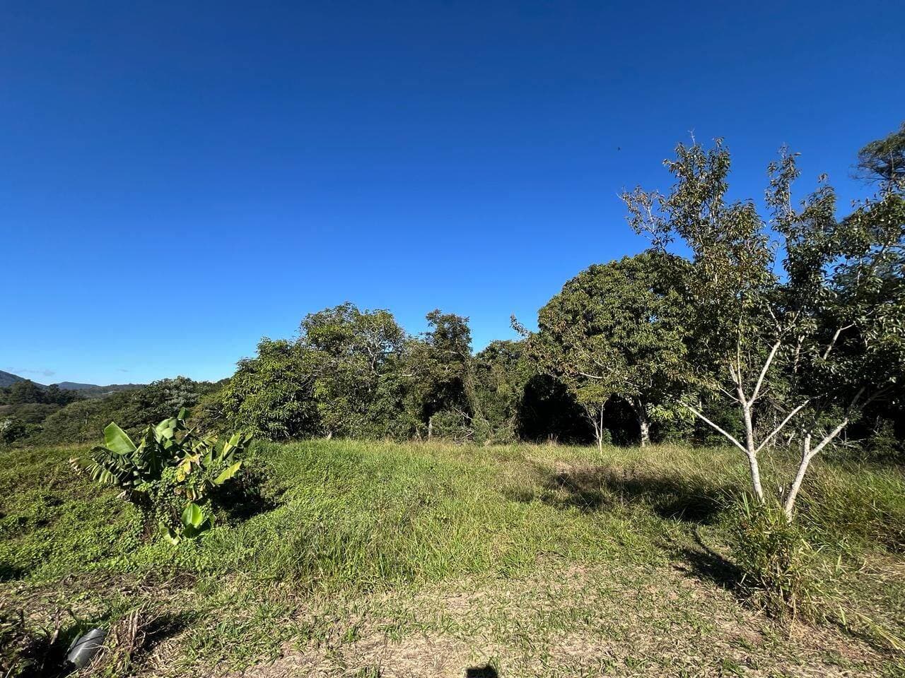 Área para Investimento 5.000 M² — foto 4