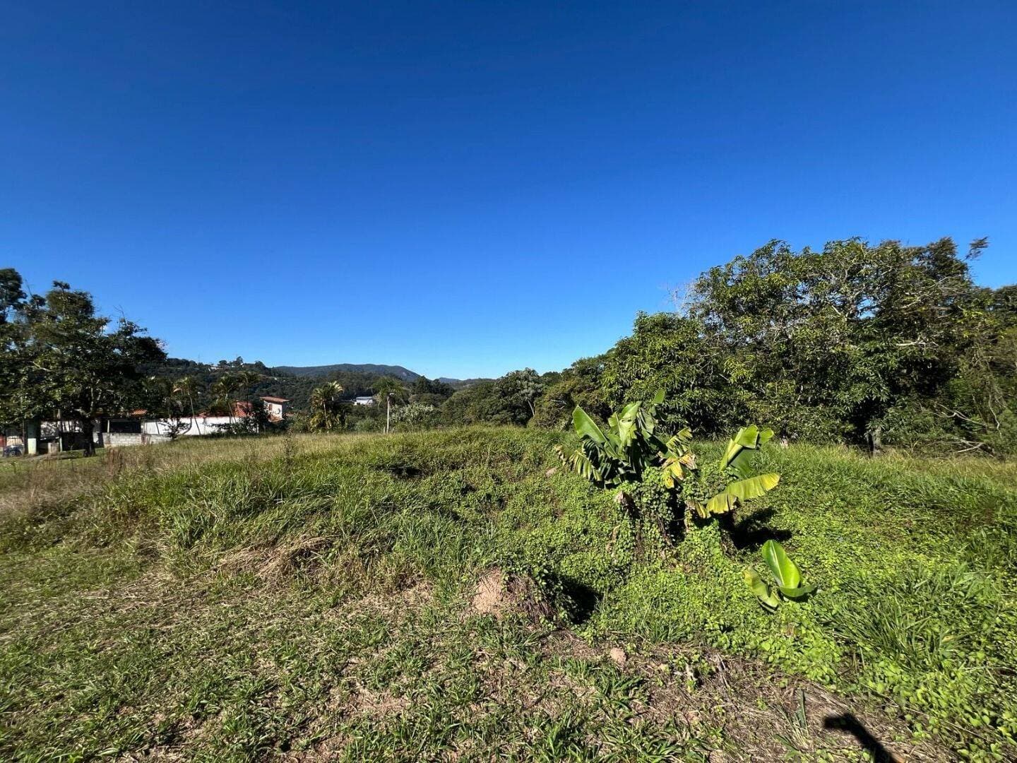 Área para Investimento 5.000 M² — foto 7