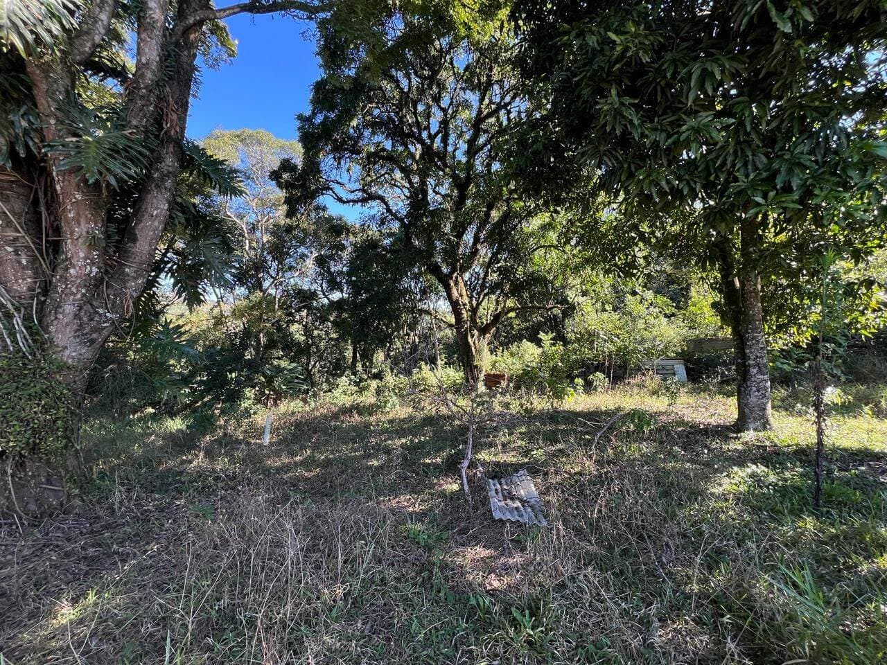 Área para Investimento 5.000 M² — foto 14