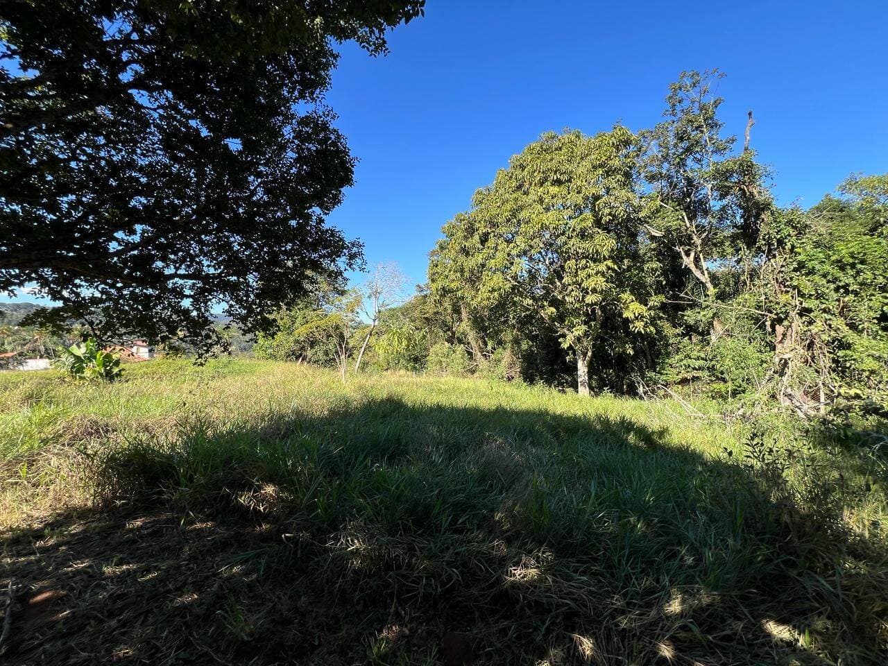 Área para Investimento 5.000 M² — foto 15