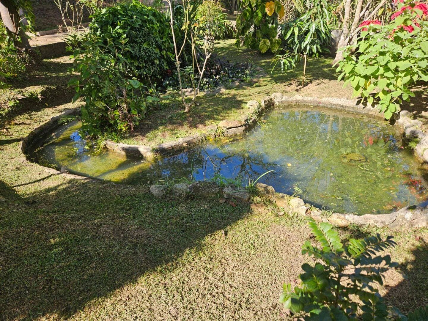 Bela Chácara em Mairiporã — foto 12