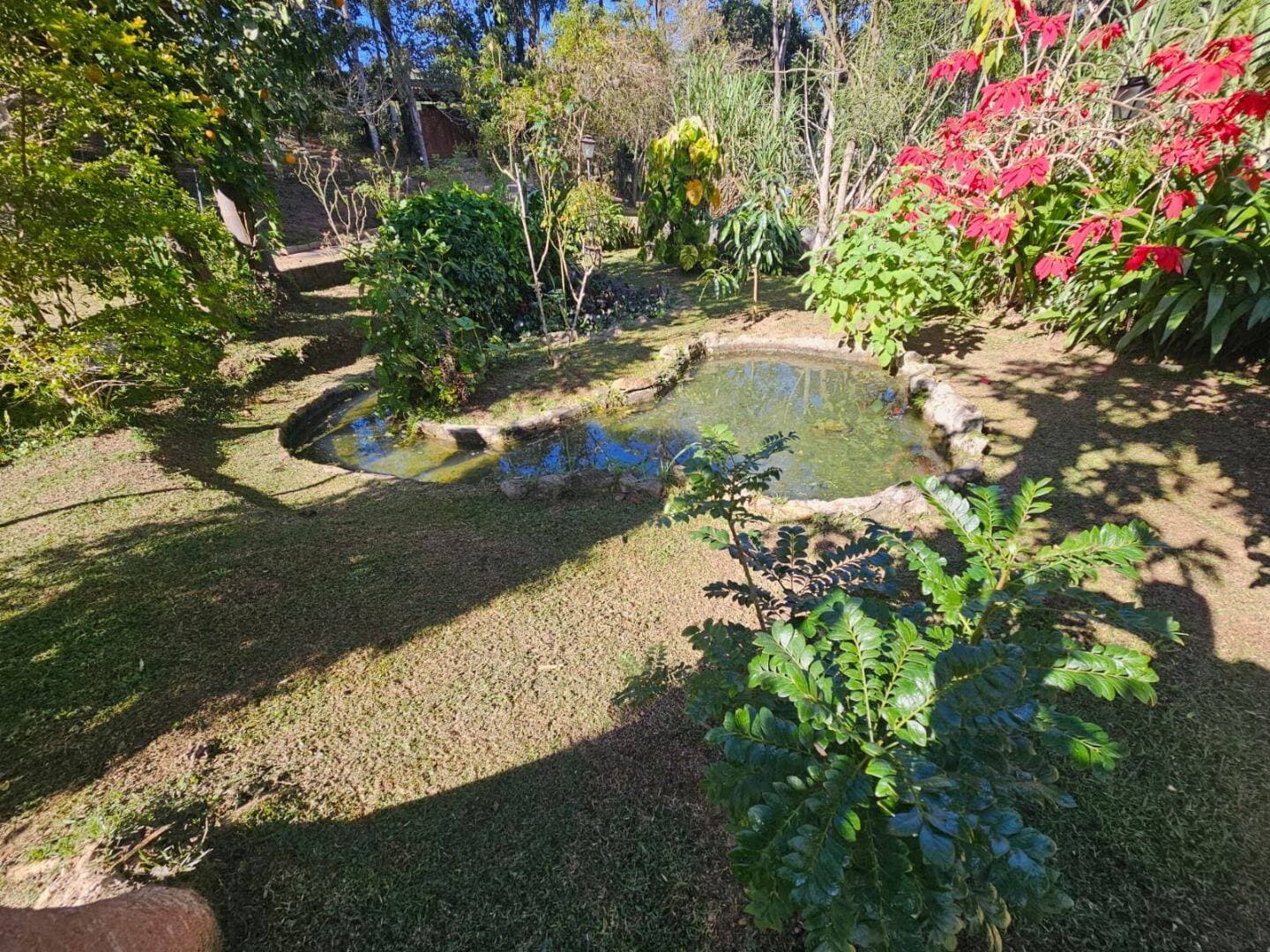 Bela Chácara em Mairiporã — foto 15