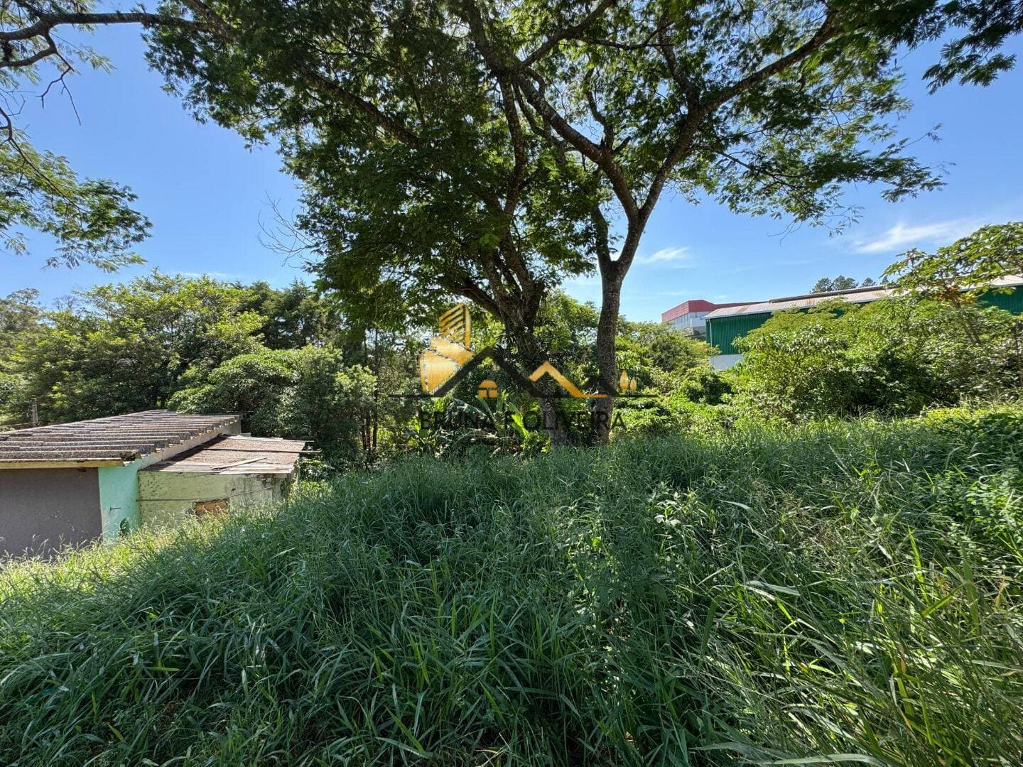 Terreno Área - Terra Preta - Mairiporã/SP — foto 6
