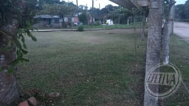 Miniatura 10
