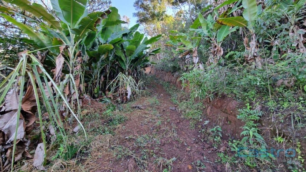 Sítio - Gonçalves, MG no bairro Machado — foto 3