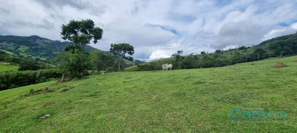 Sítio - Gonçalves, MG no bairro Cochos — foto 4