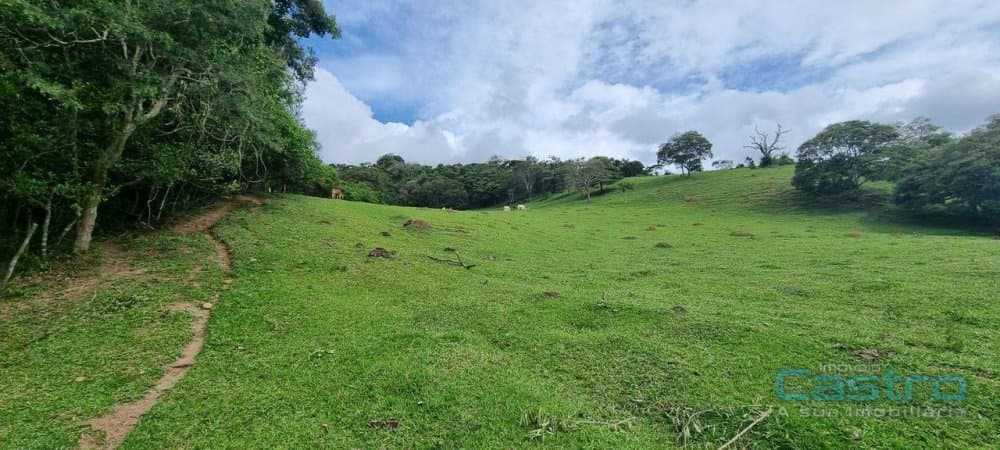 Sítio - Gonçalves, MG no bairro Cochos — foto 2