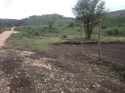 Terreno para Barracão Comercial Serviço 20.000m² Almirante Tamandaré, PLANO