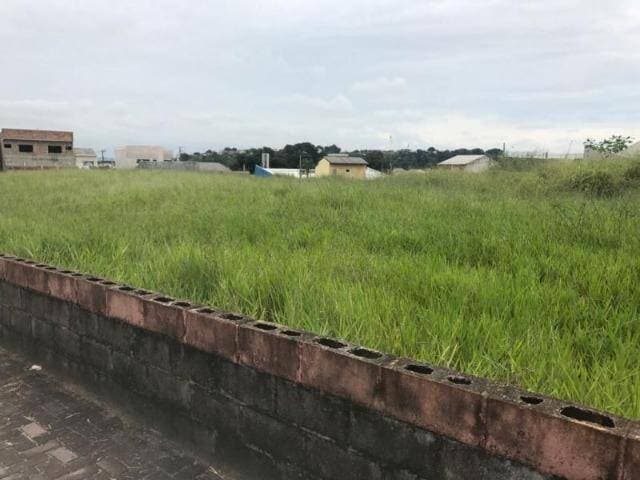 ÁREA DE 6.493 M² NO VILLA BRANCA JACAREÍ SP VENDE SEPARADO — foto 1