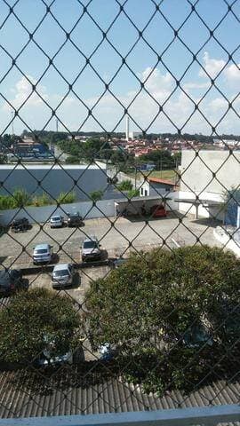 Miniatura 7