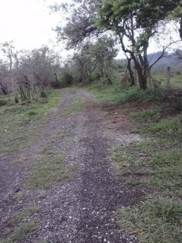 TERRENO DE 696M² BOM PARA CHÁCARA — foto 2