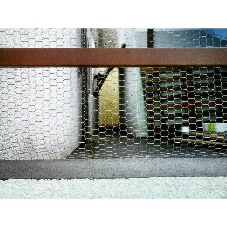 CASA JARDIM BELA VISTA JACAREÍ SP — foto 12