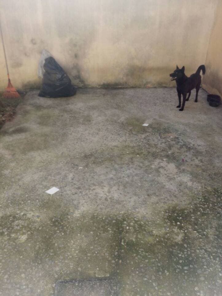 CASA NO PQ DOS PRINCIPES JACAREÍ SP ESTUDA TROCA DE MENOR $ — foto 14