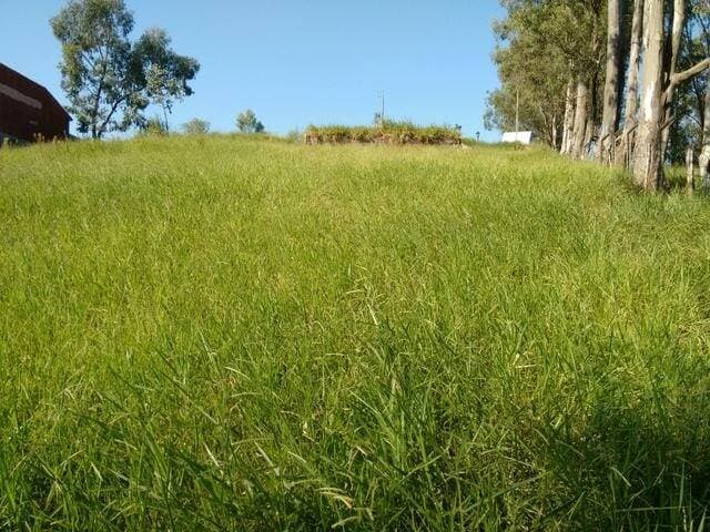 TERRENO GRANDE DE 490 M² NO JD COLINAS — foto 4