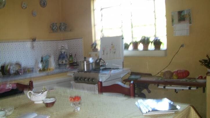 CASA NO CENTRO DE SANTA BRANCA PODE SER DIVIDIA EM 3 TERRENO — foto 13