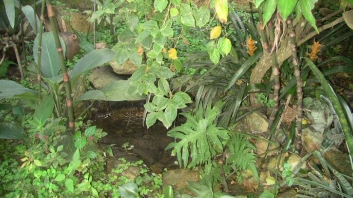 CASA NO CENTRO DE SANTA BRANCA PODE SER DIVIDIA EM 3 TERRENO — foto 14