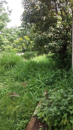 ÁREA COMERCIAL / INDUSTRIAL / RESIDENCIAL JACAREÍ PLANA