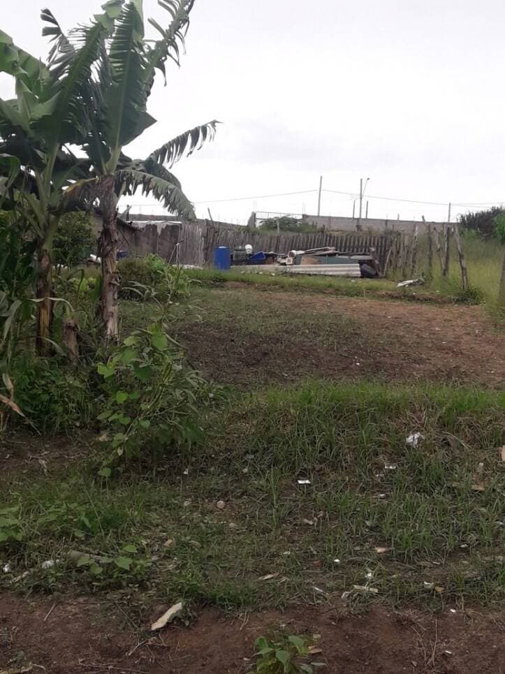 TERRENO NO IGARAPES JACAREÍ SP — foto 2