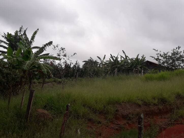 TERRENO NO IGARAPES JACAREÍ SP — foto 5