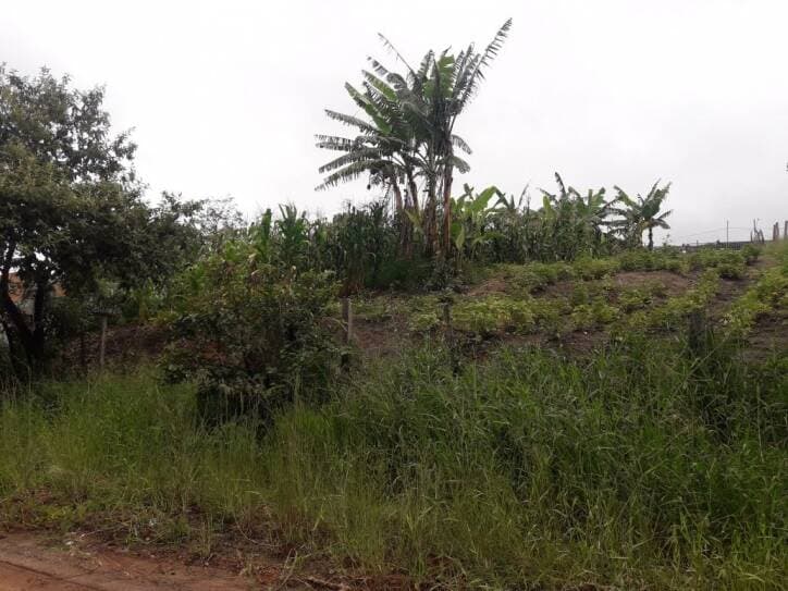 TERRENO NO IGARAPES JACAREÍ SP — foto 10
