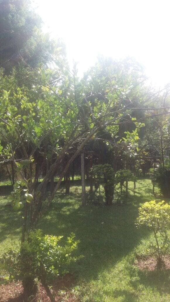 CASA CONDOMÍNIO LAGOINHA JACAREÍ SP — foto 4