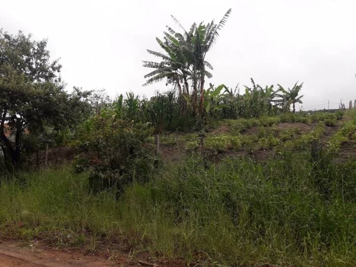 TERRENO NO IGARAPES JACAREÍ SP — foto 1