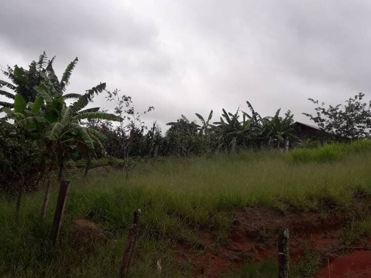 TERRENO NO IGARAPES JACAREÍ SP — foto 9