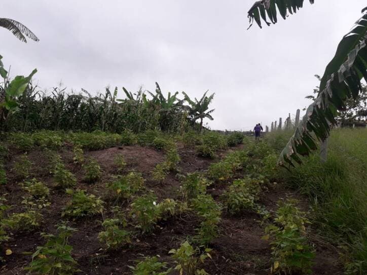 TERRENO NO IGARAPES JACAREÍ SP — foto 11