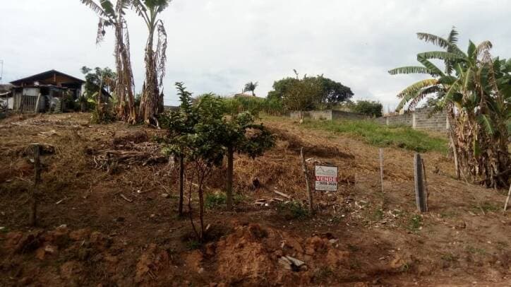 TERRENO NO IGARAPES JACAREÍ SP — foto 13