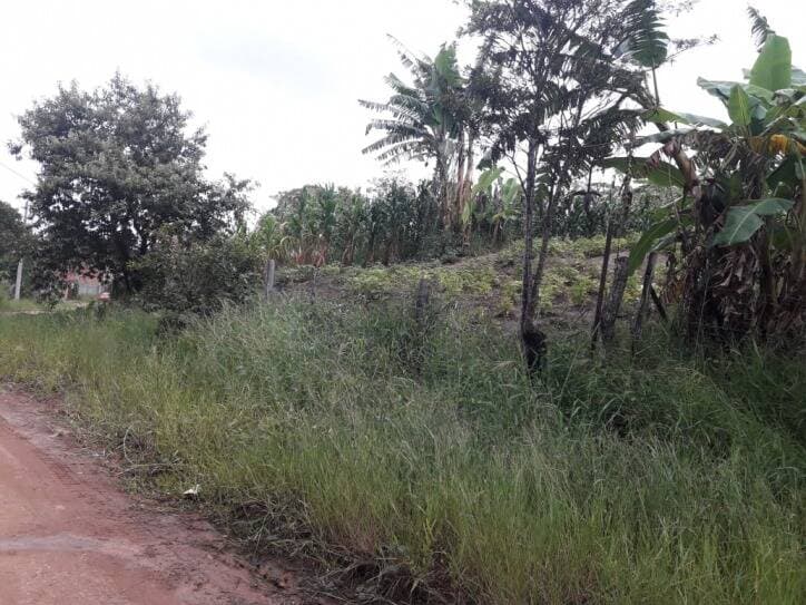 TERRENO NO IGARAPES JACAREÍ SP — foto 14
