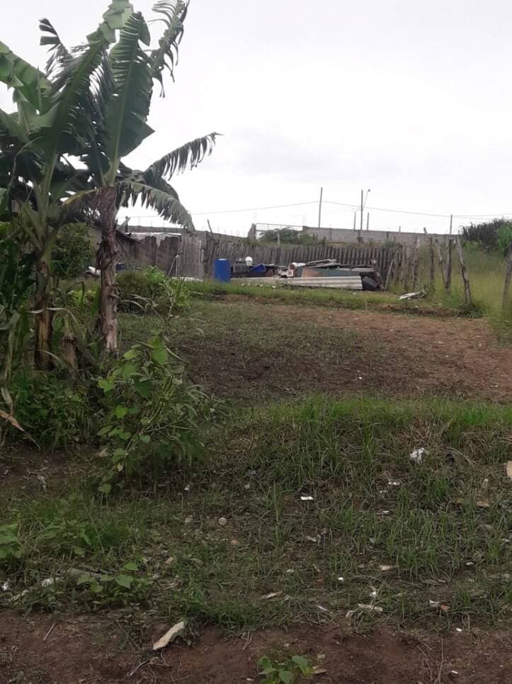 TERRENO NO IGARAPES JACAREÍ SP — foto 15