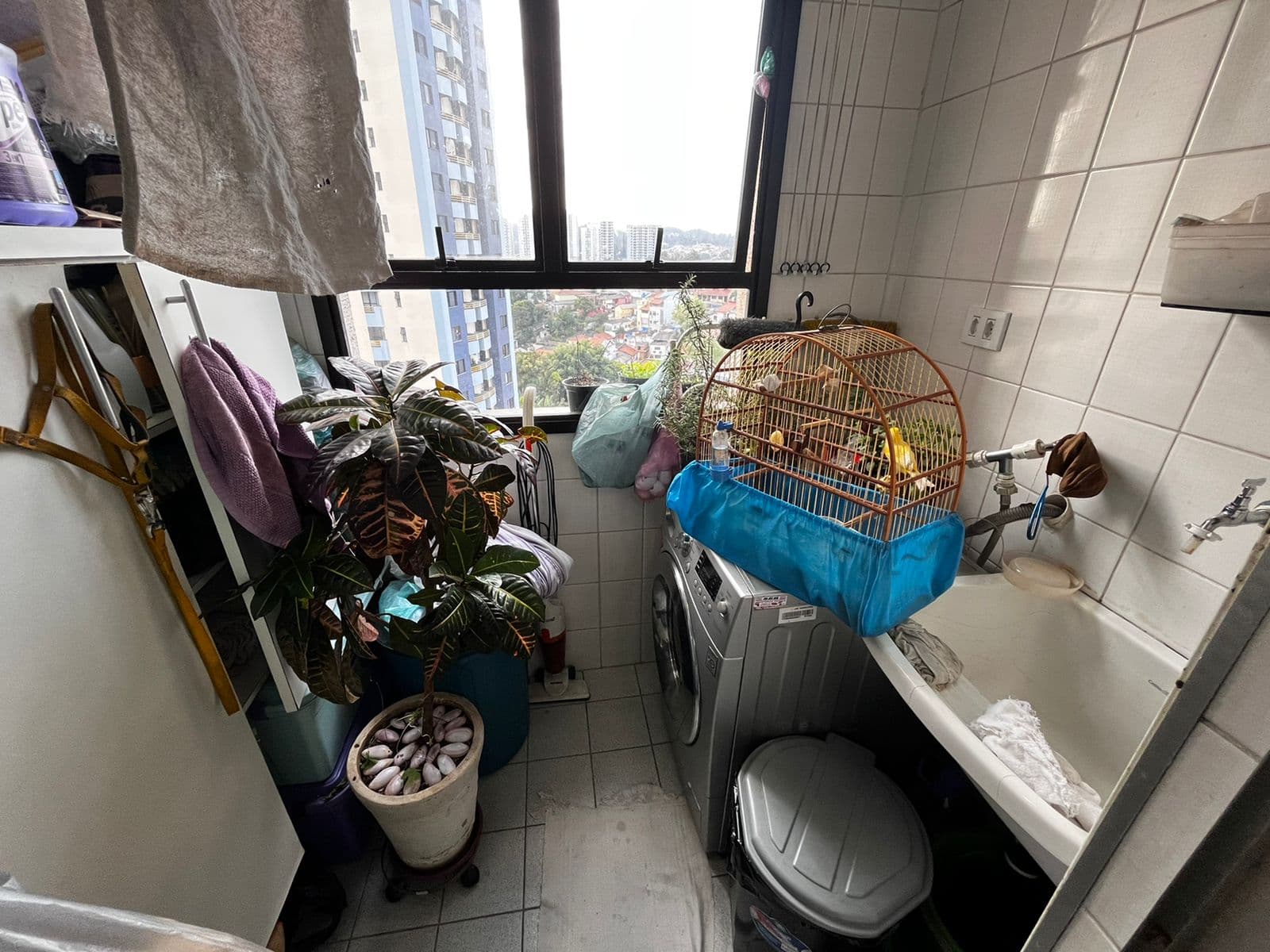 Apartamento à venda, 60 m², 2 quartos, 1 banheiro — foto 9