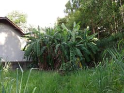 Terreno à venda, 677 m²