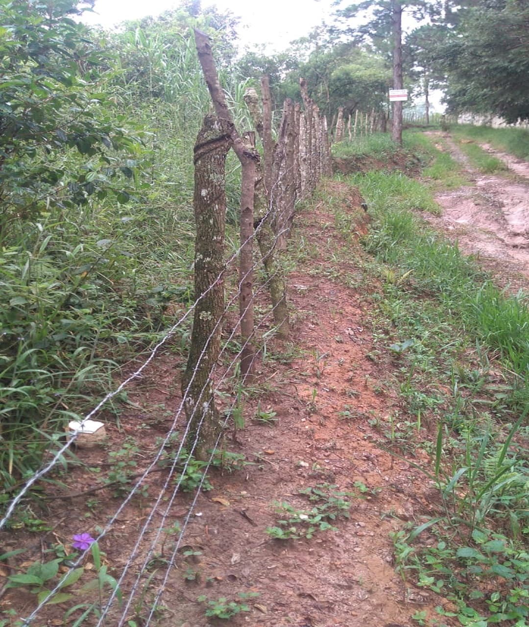 Terreno à venda, 5760 m² — foto 3
