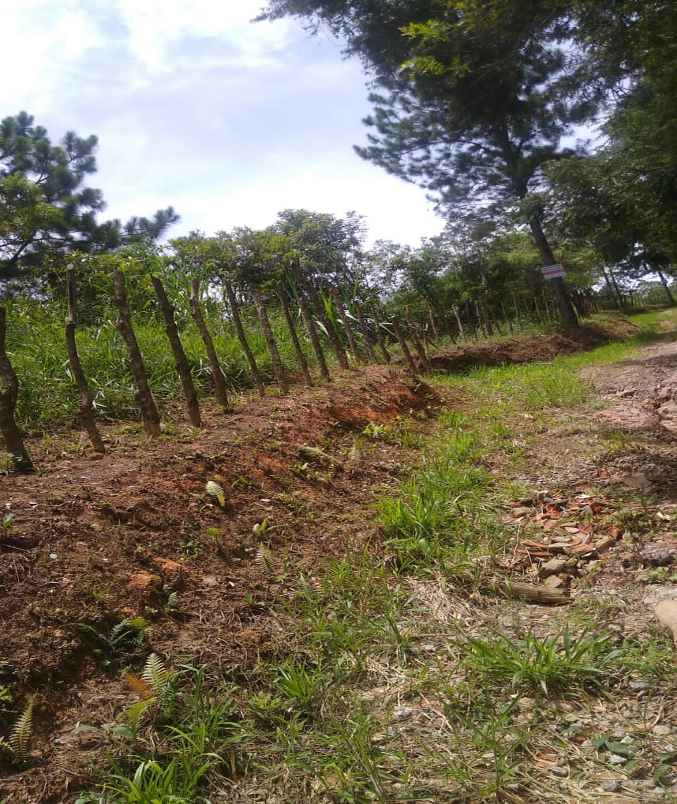 Terreno à venda, 5760 m² — foto 2