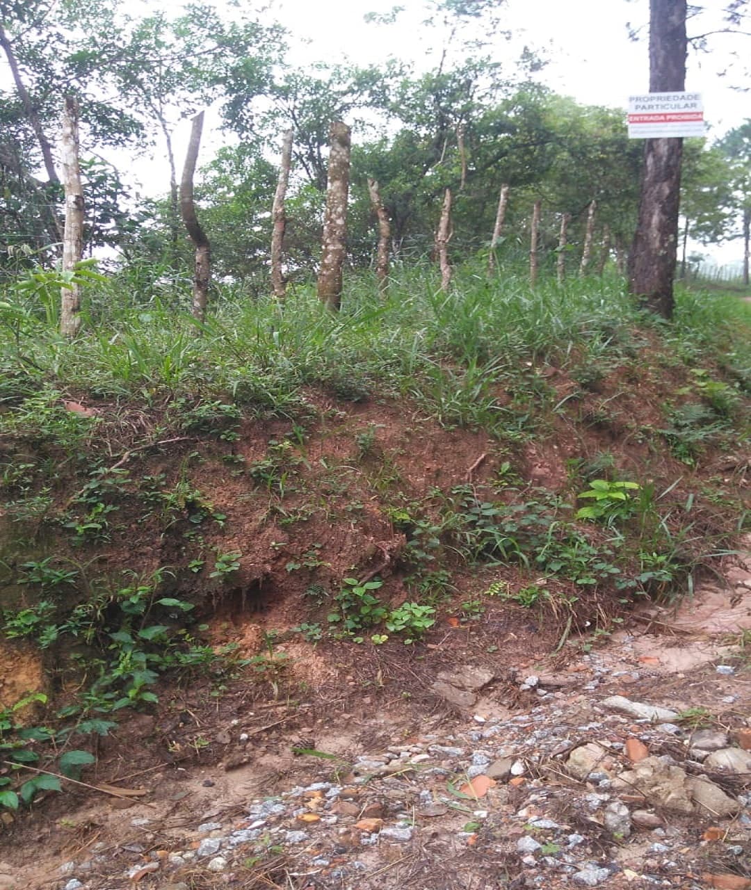 Terreno à venda, 5760 m² — foto 5