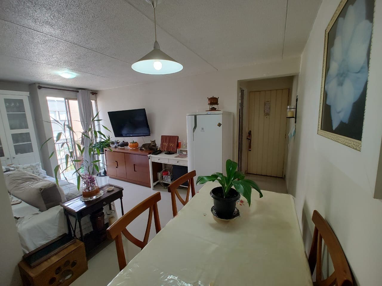 Apartamento à venda, 56 m², 2 quartos, 1 banheiro — foto 3
