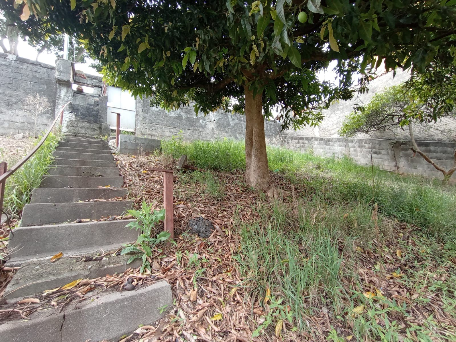 Terreno à venda, 250 m² — foto 11